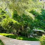 Bratanov Harmony Dream Island 阳光海滩